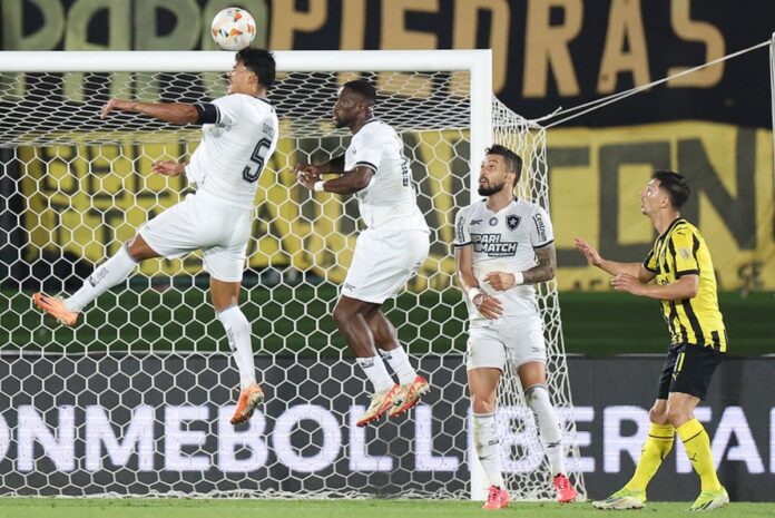 botafogo-avanca-e-encara-o-atletico-mg-na-final-da-libertadores