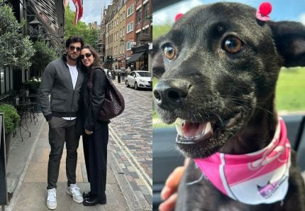 julinho-casares-surpreende-lara-silva-com-mais-um-cachorro;-casal-tem-mais-de-40