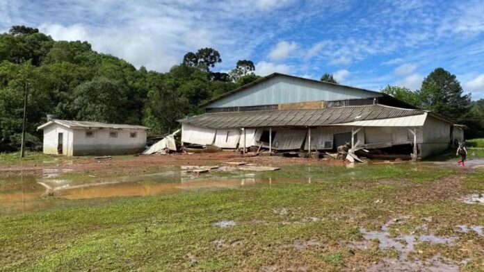 crianca-de-2-anos-some-apos-casa-ser-invadida-por-enxurrada-no-pr crianca-de-2-anos-some-apos-casa-ser-invadida-por-enxurrada-no-pr