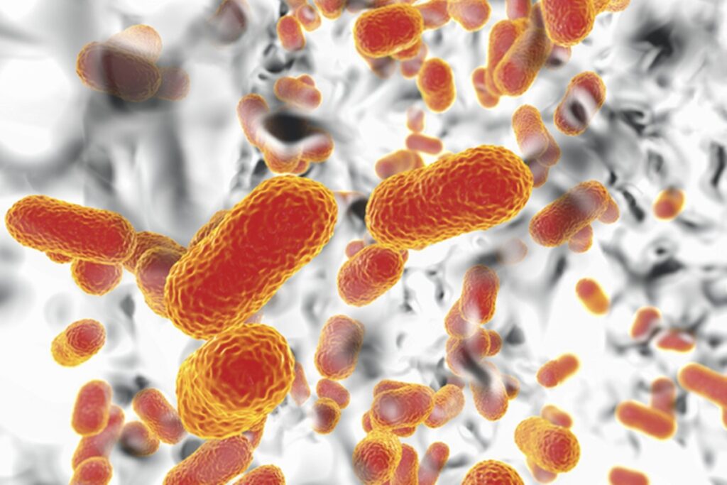 “ameaca-a-saude”:-bacteria-resistente-a-remedios-se-espalha-pela-asia