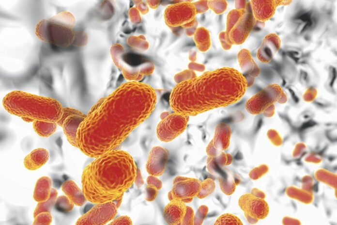 “ameaca-a-saude”:-bacteria-resistente-a-remedios-se-espalha-pela-asia