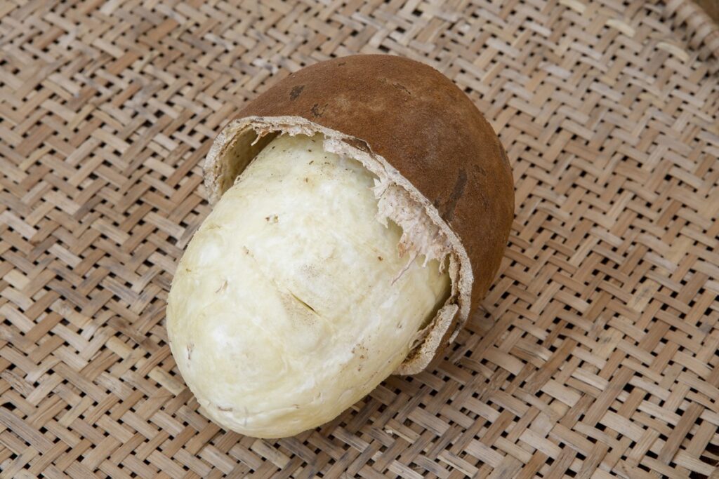 conheca-fruta-amazonica-rica-em-vitamina-c-que-pode-reduzir-a-pressao