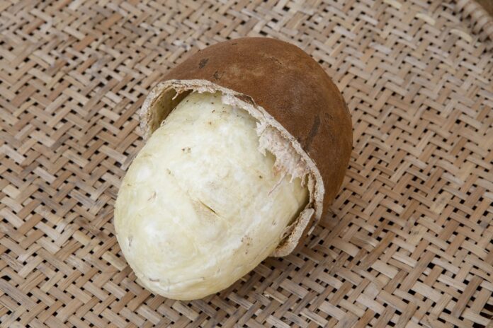 conheca-fruta-amazonica-rica-em-vitamina-c-que-pode-reduzir-a-pressao
