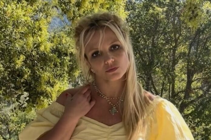 britney-spears-realiza-sonho-de-se-reconectar-com-seus-filhos