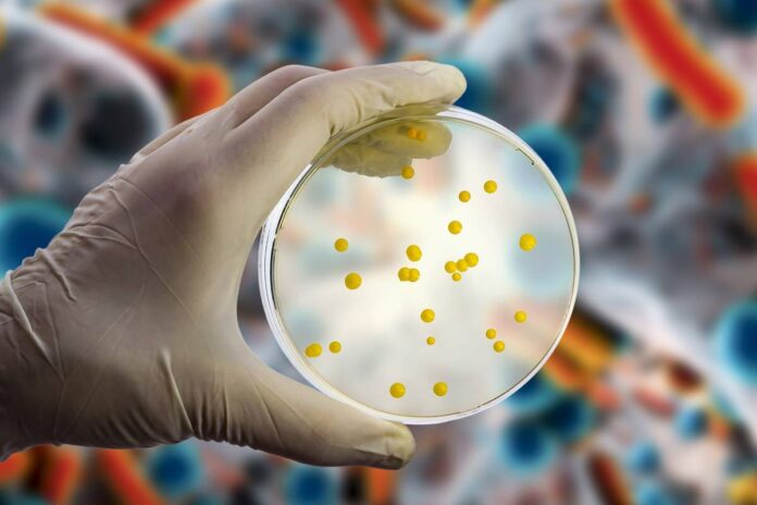 ia:-a-nova-arma-na-luta-contra-a-resistencia-a-antibioticos