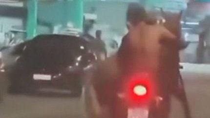 cavalo-e-transportado-em-moto-no-rio-de-janeiro-e-video-viraliza