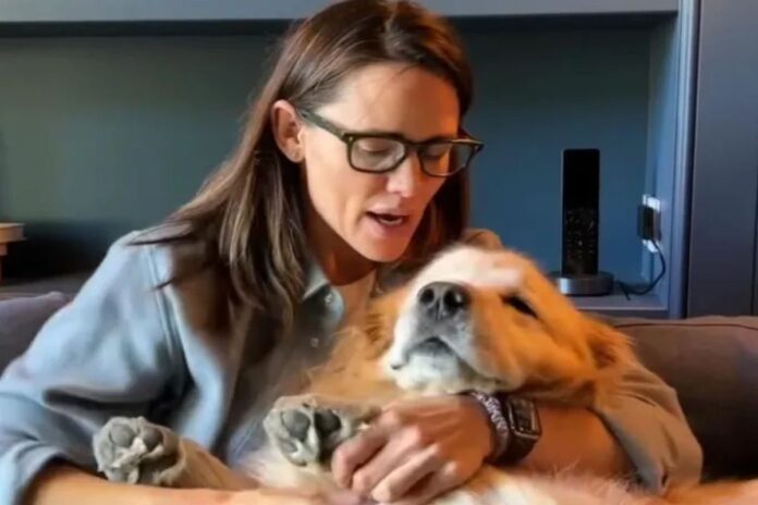 jennifer-garner-se-despede-de-sua-amada-cachorrinha-birdie