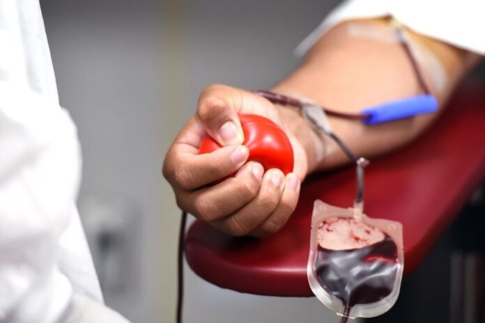 doacao-de-sangue:-conheca-os-criterios-para-ser-um-doador