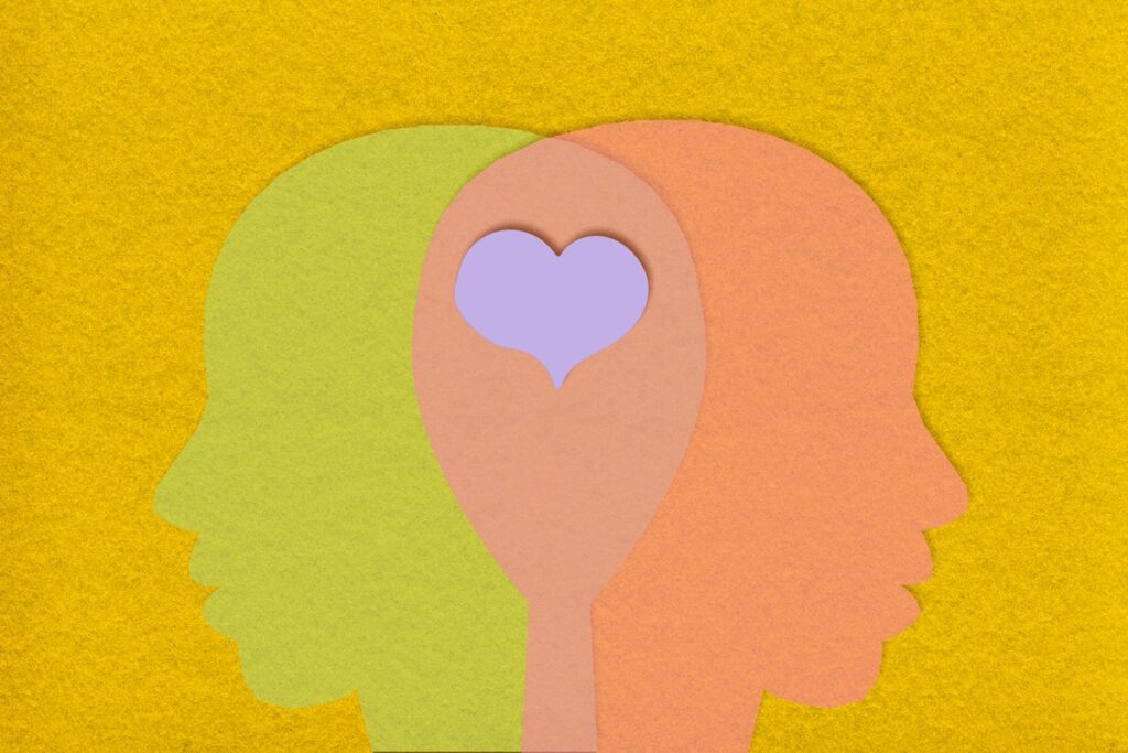 amor-ativa-areas-do-cerebro-relacionadas-a-recompensas-e-vicios