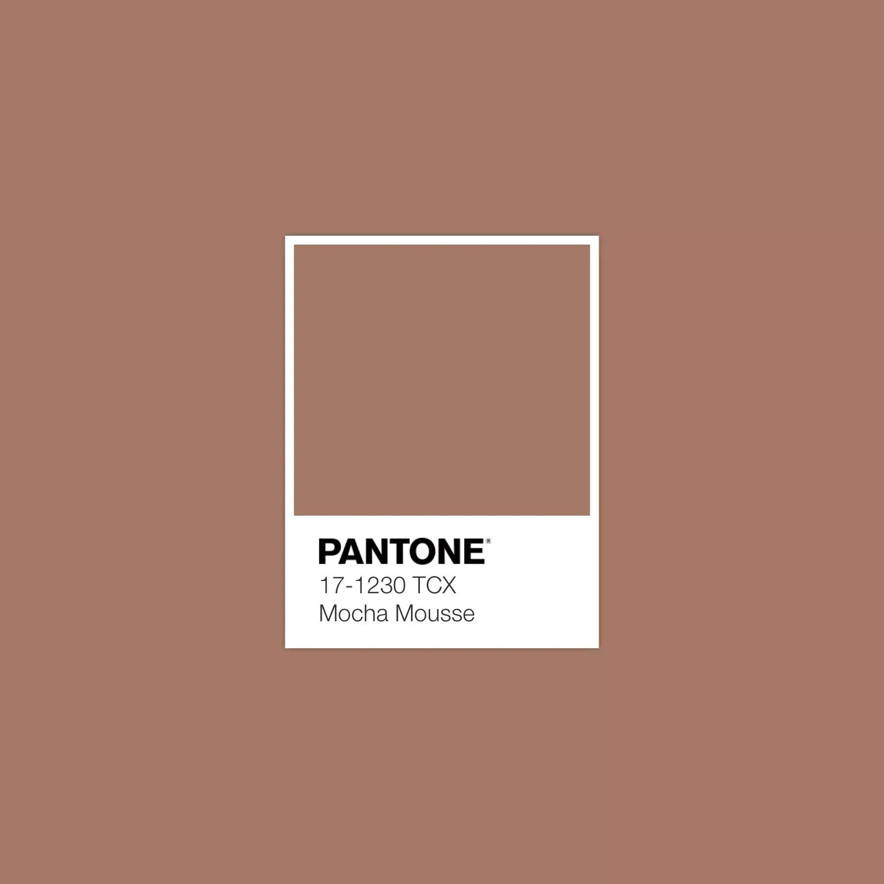 “mocha-mousse”:-pantone-anuncia-cor-de-2025