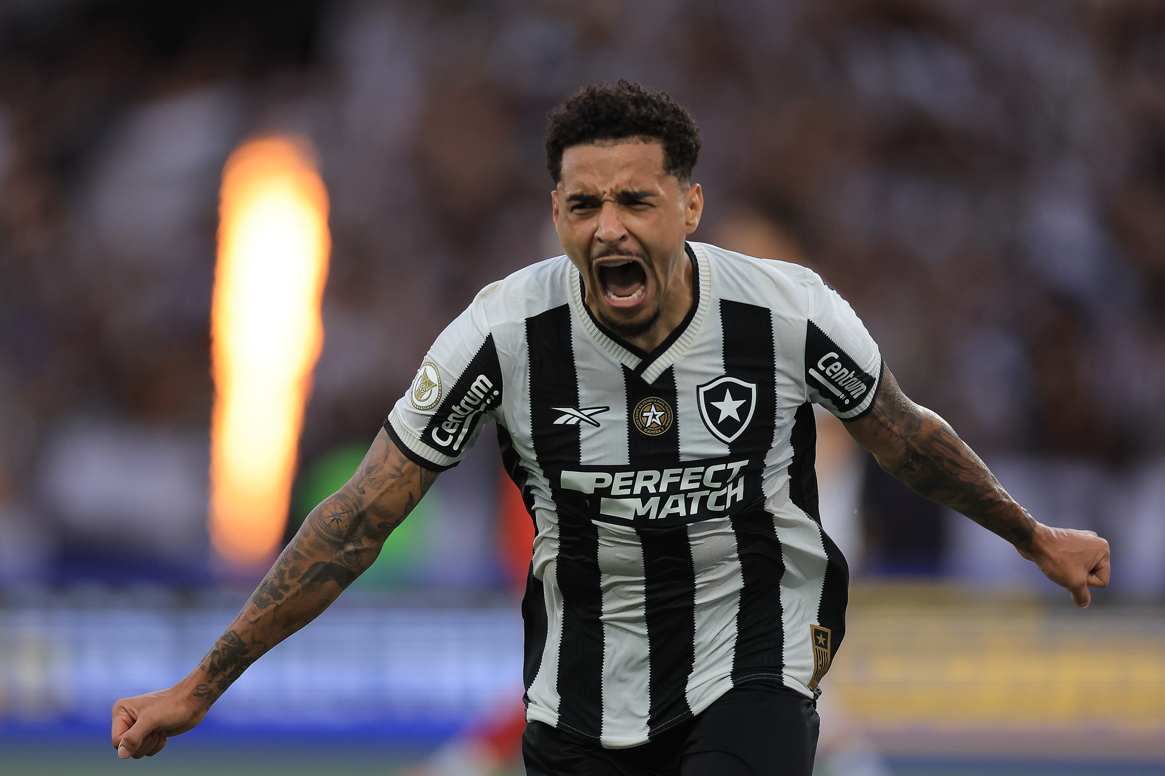 fim-da-seca!-botafogo-conquista-campeonato-brasileiro-apos-29-anos