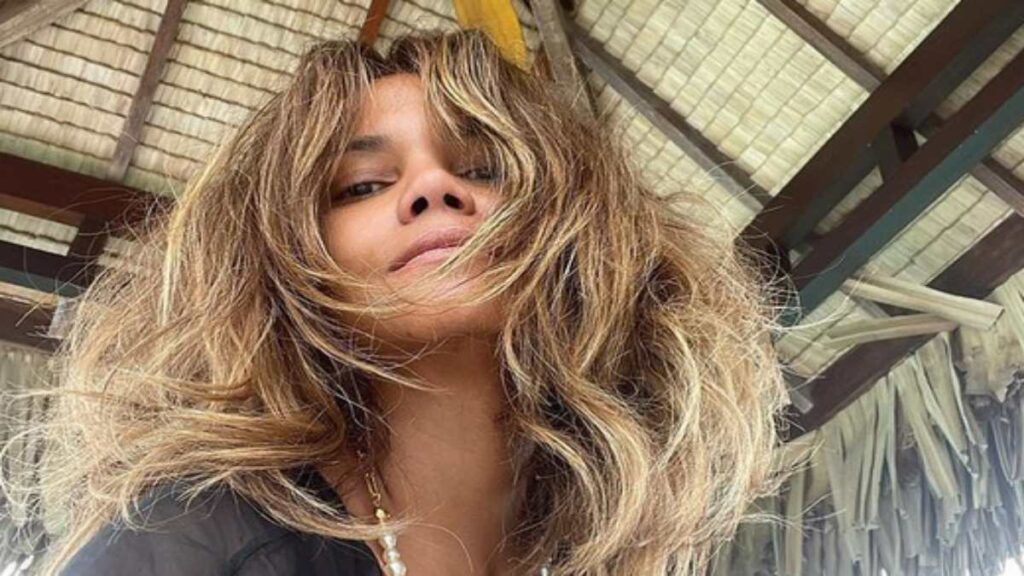 halle-berry-revela-amor-pelos-seus-gatos-resgatados