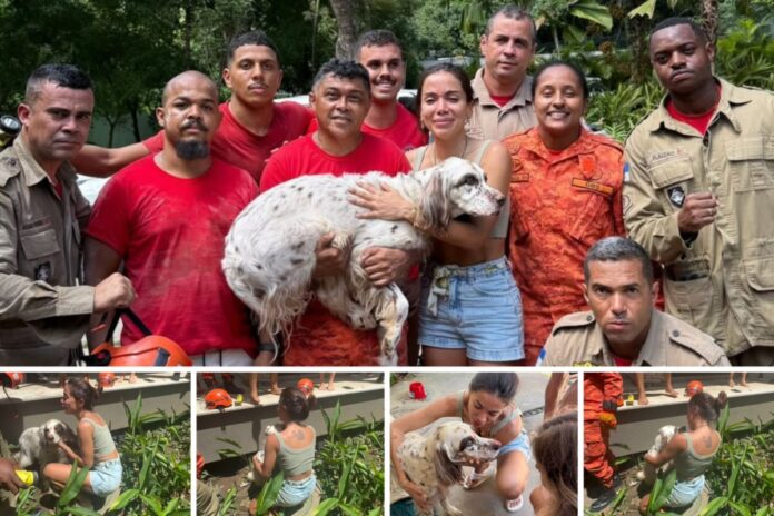 alivio!-anitta-encontra-charlie-e-cai-no-choro-apos-emocionante-resgate.-videos!