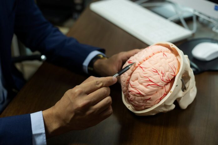 cientistas-identificam-marcadores-dos-diferentes-estagios-do-parkinson