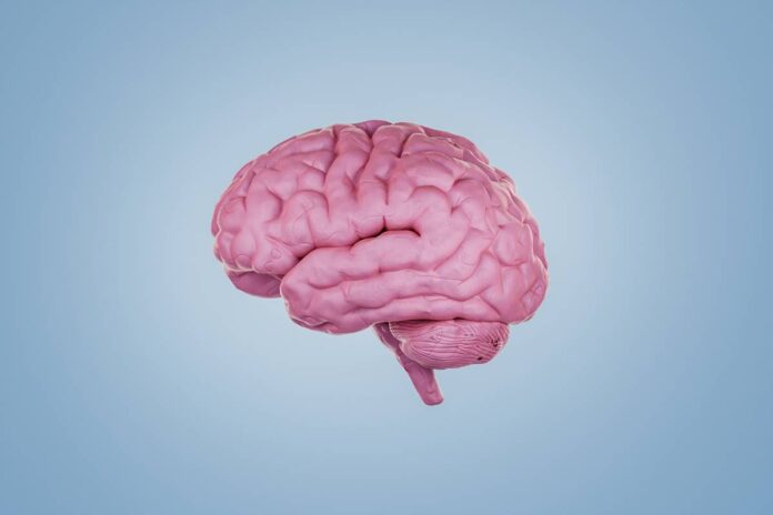 cientistas-descobrem-habito-que-pode-reduzir-o-risco-de-demencia
