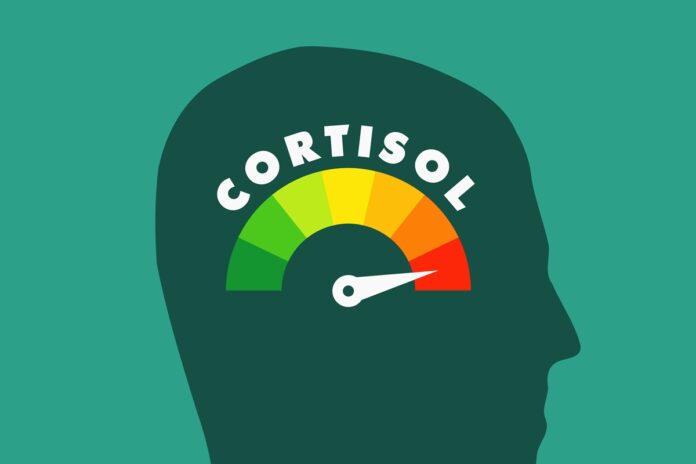 nem-sempre-e-vilao:-3-principais-efeitos-do-cortisol-baixo-na-saude
