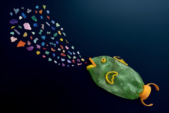 atencao!-pesquisa-descobre-microplasticos-em-frutos-do-mar-populares