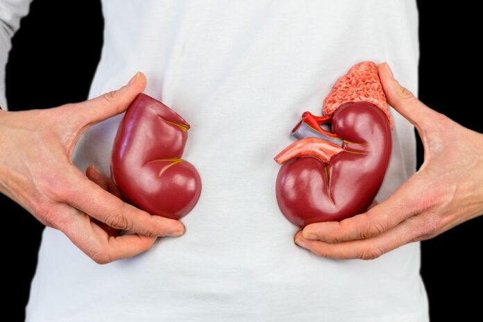 casos-de-doenca-renal-cronica-devem-aumentar-com-avanco-da-diabetes