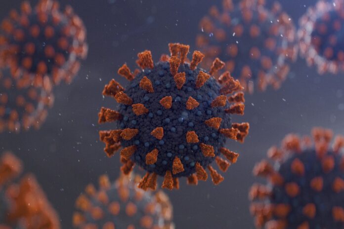 coronavirus,-chikungunya,-dengue:-de-onde-vem-os-nomes-das-doencas?