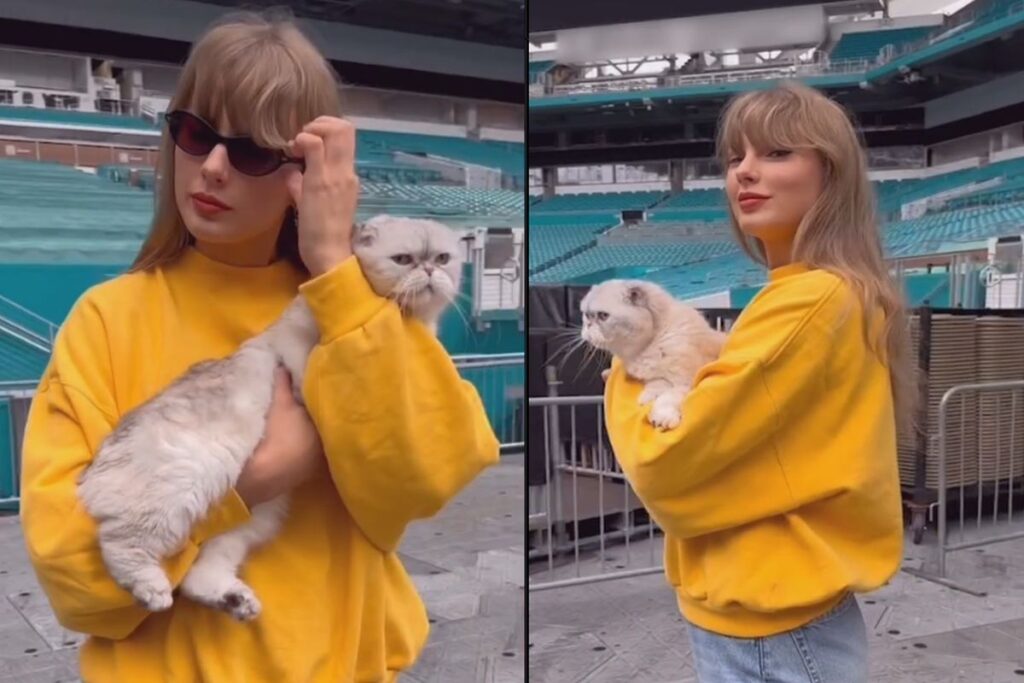 taylor-swift-demonstra-solidariedade-com-vitimas-de-incendios-na-california