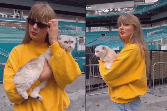 taylor-swift-demonstra-solidariedade-com-vitimas-de-incendios-na-california