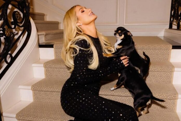 paris-hilton-compartilha-video-fofo-do-filho-com-suas-cachorras-clonadas