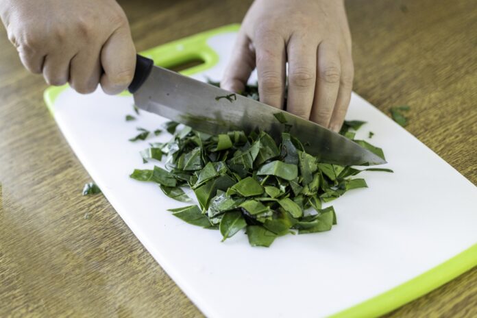 ora-pro-nobis:-veja-como-preparar-a-planta-e-preservar-os-nutrientes