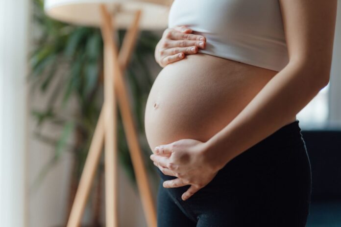 pesquisadoras-fazem-perfil-do-uso-da-inseminacao-caseira-no-brasil