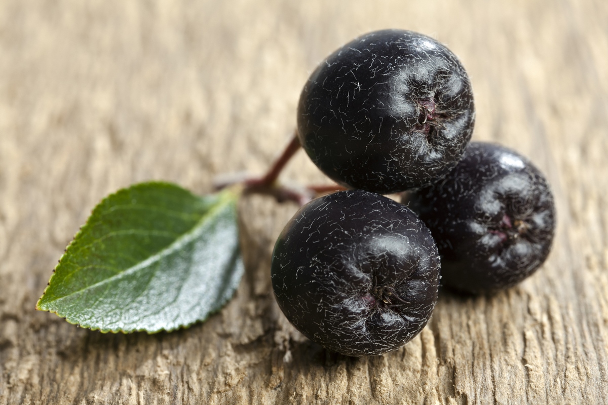 ouro-negro:-saiba-como-consumir-a-fruta-que-regula-o-acucar-no-sangue
