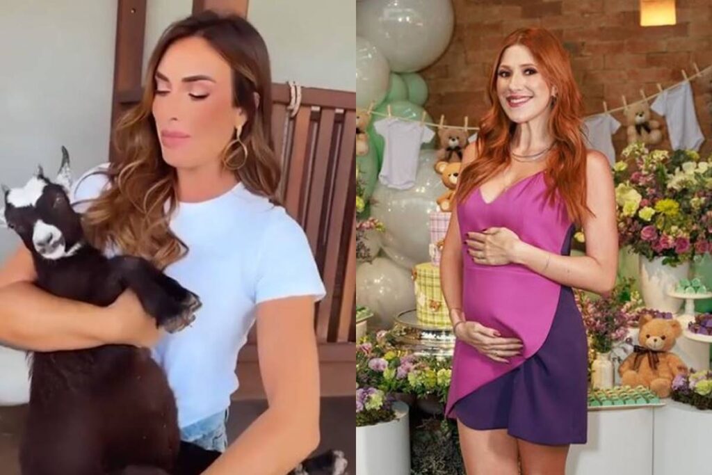 cabra-de-nicole-bahls-batizada-de-dani-calabresa-tambem-esta-gravida