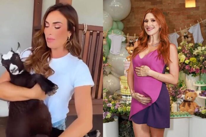 cabra-de-nicole-bahls-batizada-de-dani-calabresa-tambem-esta-gravida