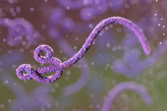 uganda-confirma-surto-de-ebola-apos-registrar-primeira-morte