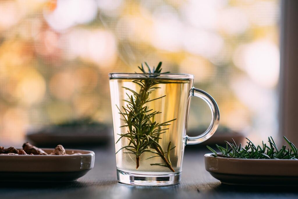 cha-de-alecrim:-conheca-os-beneficios-da-bebida-aromatica-e-nutritiva