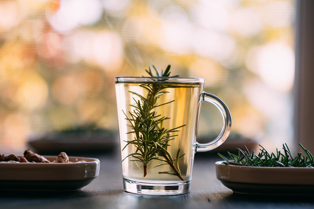 cha-de-alecrim:-conheca-os-beneficios-da-bebida-aromatica-e-nutritiva