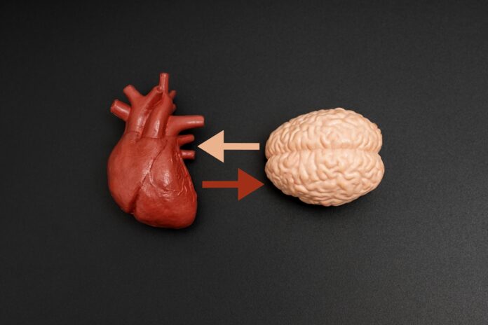 corpo-unico:-saude-mental-e-fisica-caminham-para-se-tornar-uma-so