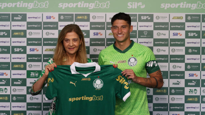 agua-santa-x-palmeiras:-reforco-do-verdao-pode-estrear-em-jogo-no-df
