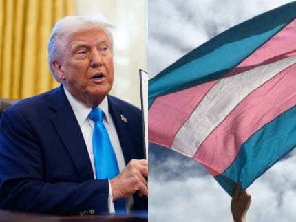 como-as-novas-medidas-de-trump-ameacam-a-causa-trans-ao-redor-do-mundo