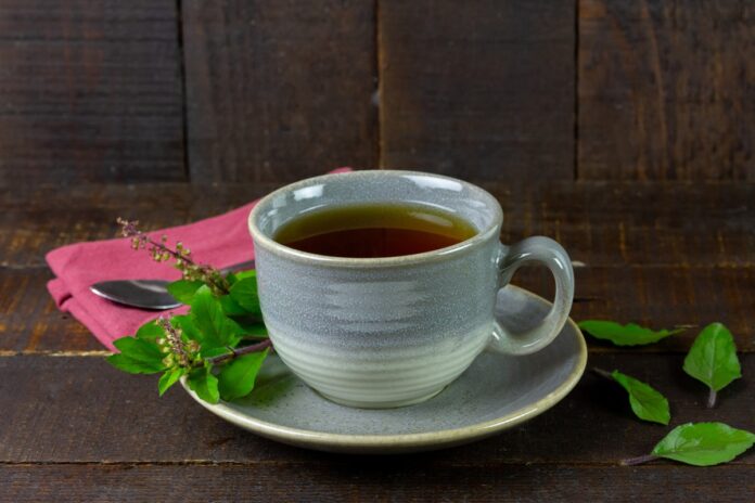 cha-de-manjericao:-conheca-beneficios-e-contraindicacoes-da-bebida