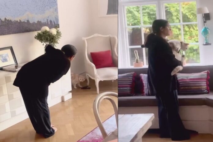 salma-hayek-ganha-presente-inusitado-de-gato