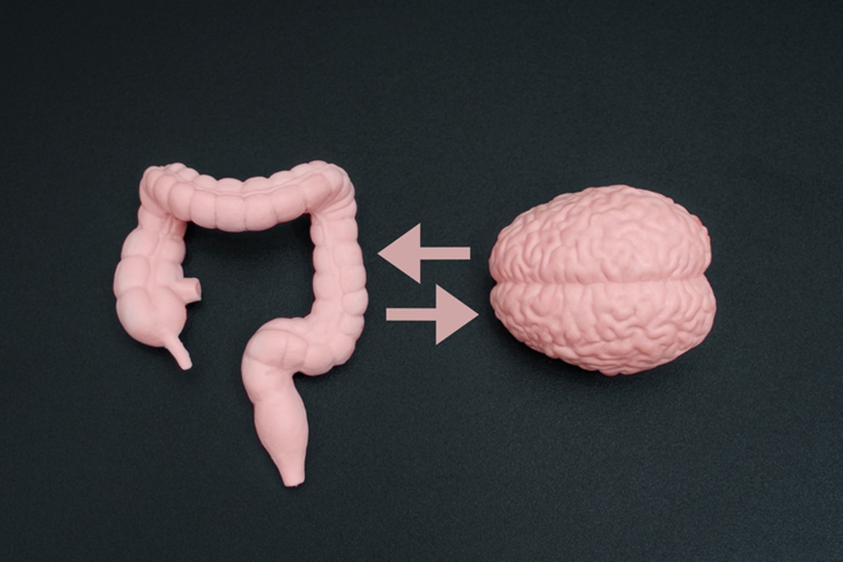 qual-e-a-importancia-do-intestino-na-saude-da-mente,-segundo-a-ciencia
