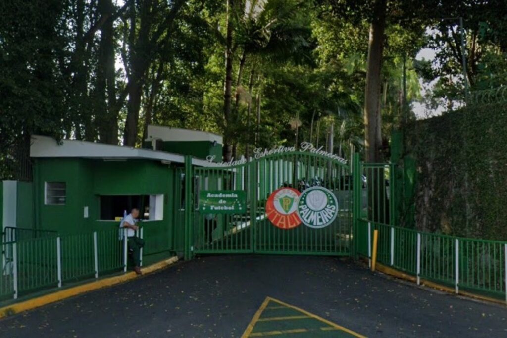 palmeiras-responde-campanha-contra-gramado-sintetico:-“criticas-rasas”