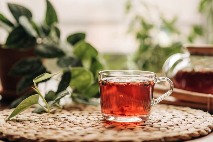 cha-de-espinheira-santa:-saiba-quais-sao-os-beneficios-da-bebida