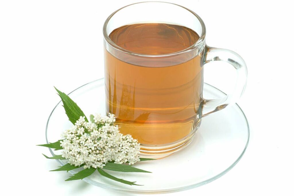 cha-de-valeriana:-conheca-os-beneficios-da-bebida-e-veja-como-consumir