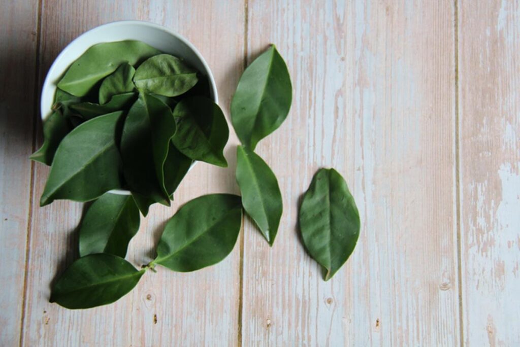 suco-de-ora-pro-nobis-e-curcuma:-saiba-os-beneficios-e-como-consumir