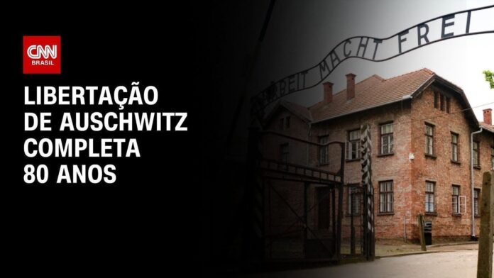 sobrevivente-mais-velha-do-holocausto-conhecida-morre-aos-113-anos