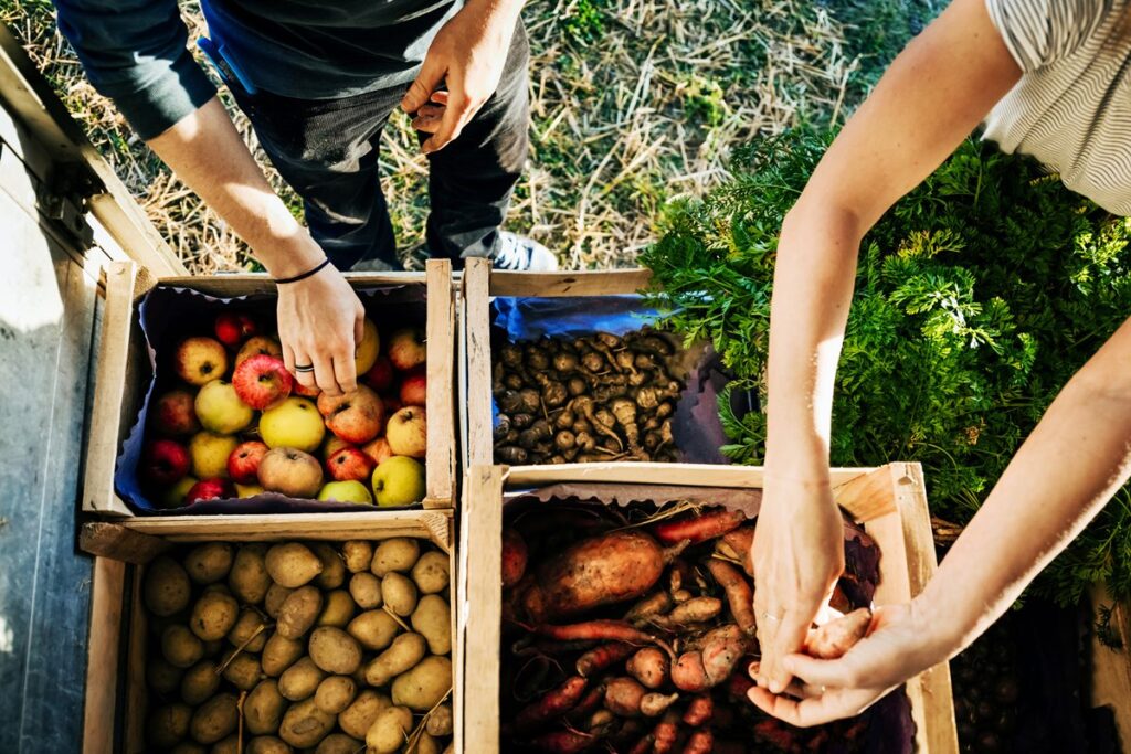 alimentos-organicos-sao-sempre-mais-saudaveis?-especialistas-explicam
