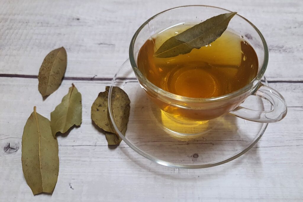 cha-de-folha-de-louro:-conheca-os-beneficios-da-bebida-antioxidante