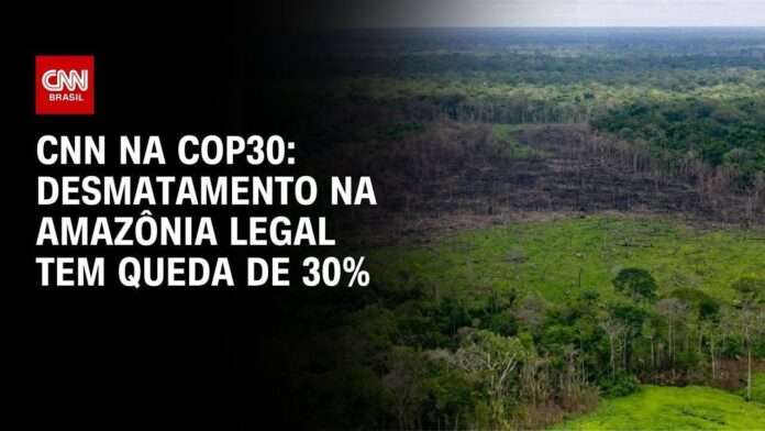 com-reducao-de-72%,-desmatamento-no-para-tem-maior-queda-ja-registrada