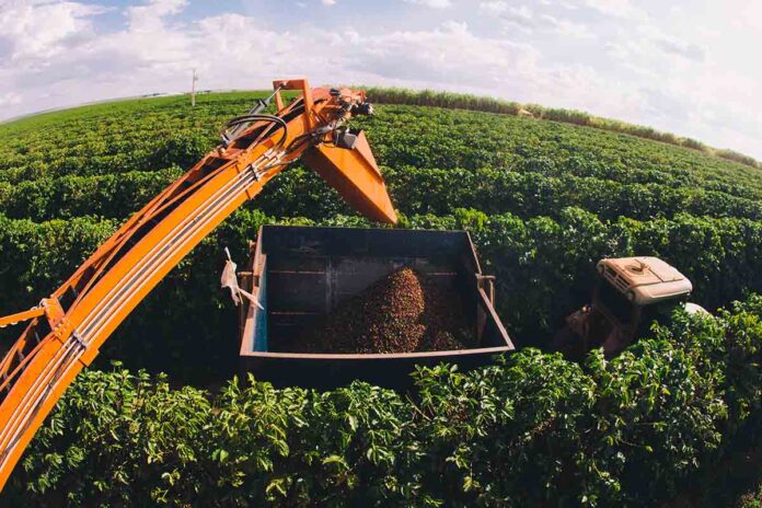 economia-desacelera,-mas-industria-e-servicos-compensam-perdas-do-agro
