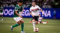 palmeiras-x-sao-paulo:-veja-penalti-polemico-sobre-vitor-roque